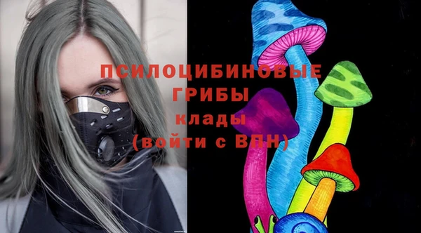 кристаллы Гусев